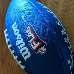 NWOT NFL Flag Mini Football